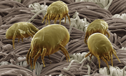 ����� �������� ������ ����� � ���������